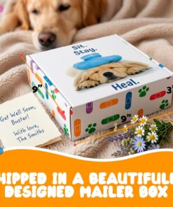Get Well Soon Dog Gifts, Dog Care Package, Puppy Gift Basket with 3 Dog Treats and 4 Toys, Adorable Puppy Gift Basket, Pet Care Package