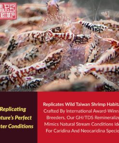 GH/TDS Remineralizer 500mL – Shrimp Tank Accessories for Neocaridina & Caridina | Professional GH TDS Additive | Shrimp Minerals, Molting & Breeding Support | Freshwater...