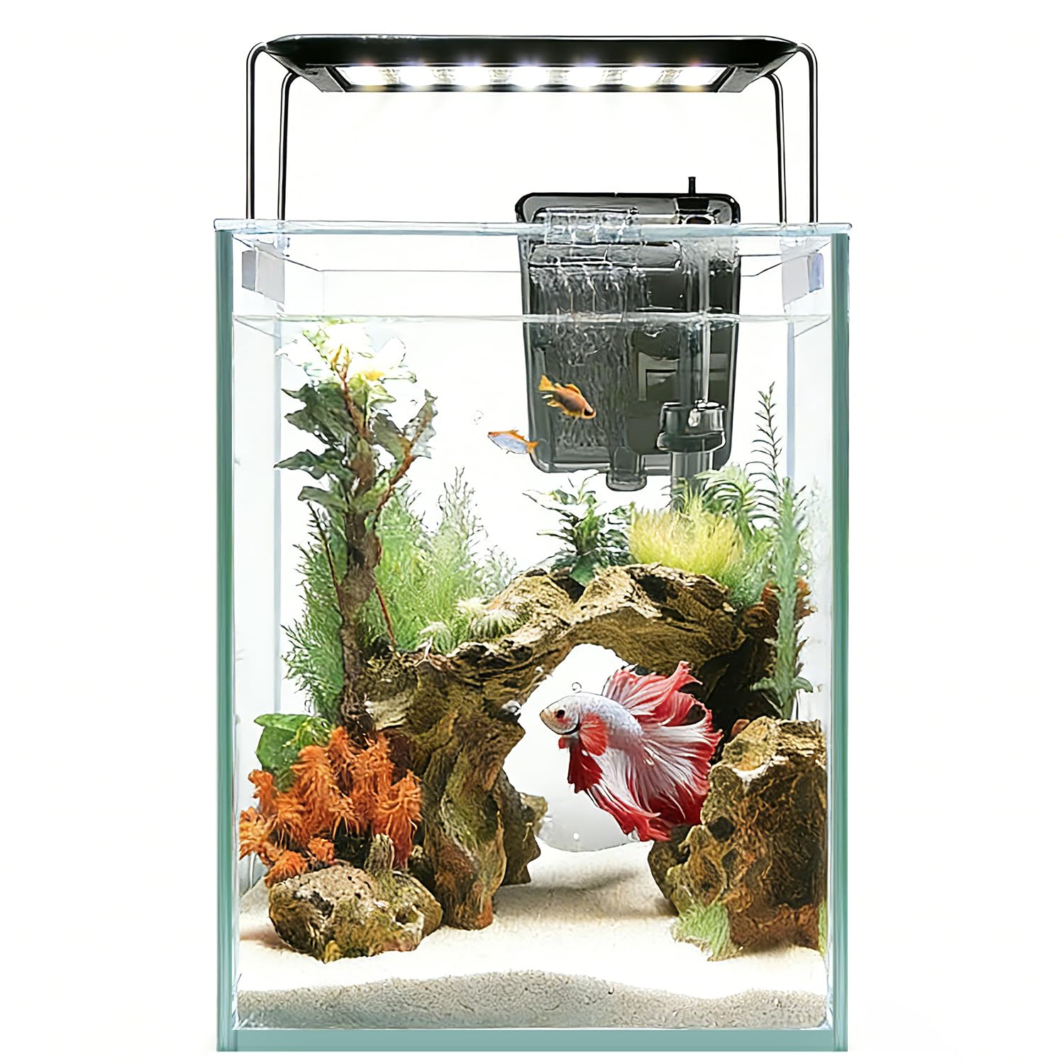 Glass Aquarium Starter Kits 1.5 Gallon Small Fish Tank, Betta Fish Tank for Home Office Deco, with LED Light, Power Filter, 4mm Glass, Black