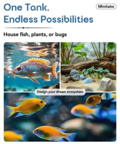 Glass Fish Tank Kit, 5 Gallon Betta Fish Tank Aquarium Starter Kit with Filter, Lights, Lid, for Betta, Goldfish, Small Fish or shrimg