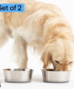 GORILLA GRIP Dog Bowls, Food Grade 304 Stainless Steel, Holds 2 Cups Each (16 fl oz) Food and Water Bowl for Feeding Dogs and Cats, Dishwasher Safe, Rust Resistant, BPA Free...