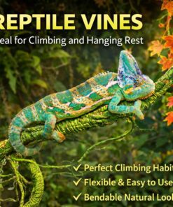 Grddaef Reptile Vines Plants for Terrarium, Flexible Vines Jungle Climbing Branch with Leaves Tank Decor for Snakes Bearded Dragons Geckos Hermit Crabs Lizards Chameleons
