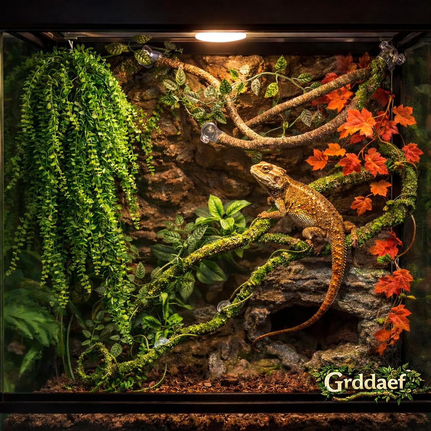 Grddaef Reptile Vines Plants for Terrarium, Flexible Vines Jungle Climbing Branch with Leaves Tank Decor for Snakes Bearded Dragons Geckos Hermit Crabs Lizards Chameleons