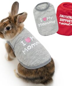 Guinea Pig Clothes - 2 Pack Cute Small Animal Vest Clothes for Rat, Rabbit, Chinchilla, Ferret, Kitten, Bunny, Chihuahua, Mini Dogs - Soft Breathable T-Shirt Pet Costume