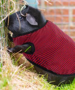 Guinea Pig Clothes - 2 Pack Cute Small Animal Vest Clothes for Rat Rabbit Chinchilla Ferret Kitten Chihuahua - Soft Breathable T-Shirt Pet Costume