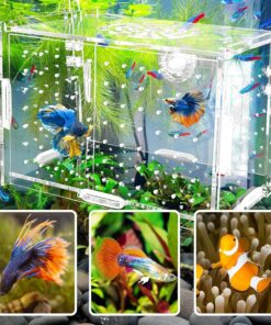 Hamiledyi Acrylic Breeding Isolation Box - Transparent Aquarium Hatchery for Guppy/Shrimp/Small Fish, Safe Nursery Tank with Air Tube & Suction Cups(5.9