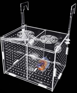 Hamiledyi Acrylic Breeding Isolation Box - Transparent Aquarium Hatchery for Guppy/Shrimp/Small Fish, Safe Nursery Tank with Air Tube & Suction Cups(5.9