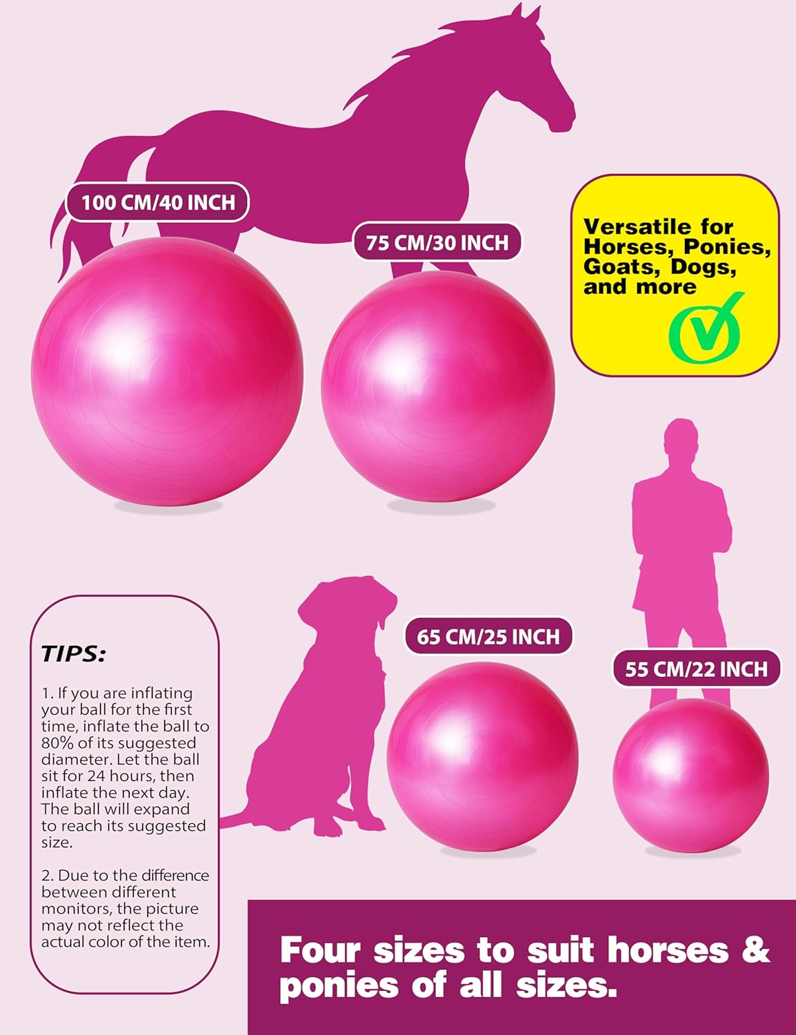 Harrison Howard Howdy Bally Mega Horse Play Ball Anti-Burst Giant Horse Ball 22 Inch-Magenta