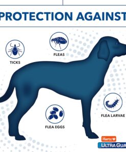 Hartz UltraGuard Plus Flea & Tick Collar for Dogs and Puppies, 7 Month Flea and Tick Prevention and Protection Per Collar, Reflective Orange, up to 22 Inch Neck