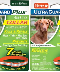 Hartz UltraGuard Plus Flea & Tick Collar for Dogs and Puppies, 7 Month Flea and Tick Prevention and Protection Per Collar, Reflective Orange, up to 22 Inch Neck