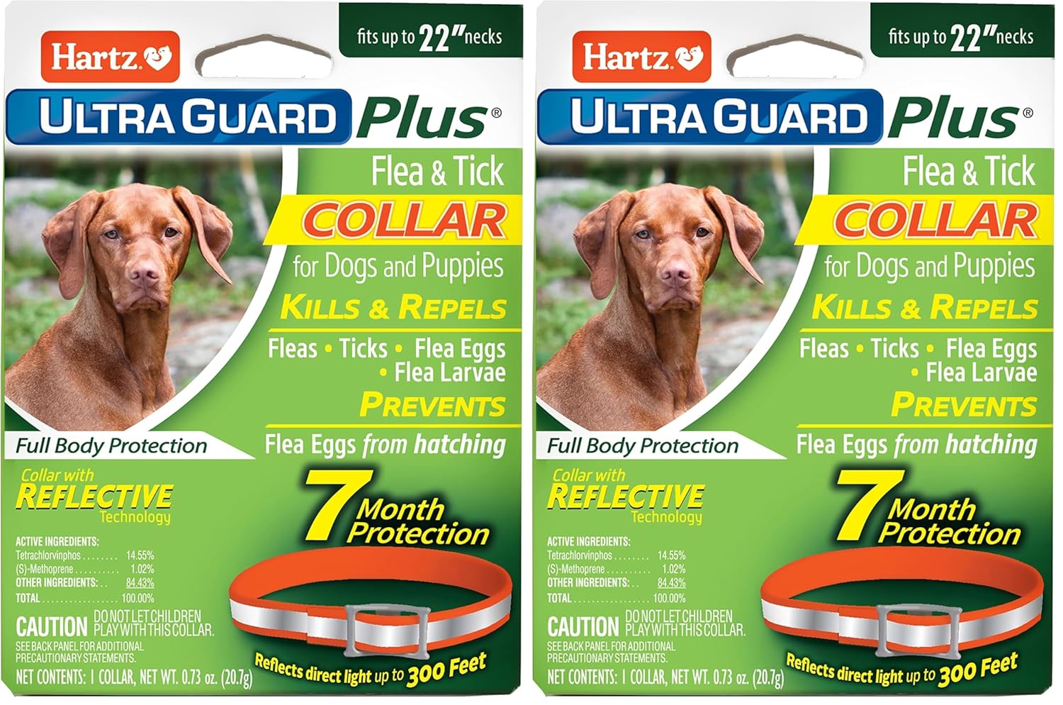 Hartz UltraGuard Plus Flea & Tick Collar for Dogs and Puppies, 7 Month Flea and Tick Prevention and Protection Per Collar, Reflective Orange, up to 22 Inch Neck