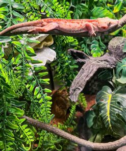 HERCOCCI Reptile Vines, Flexible Jungle Climbing Vines Terrarium Plastic Plants and Leaves Tank Accessories Decor for Gecko Snake Lizard Bearded Dragon Hermit Crab Frog