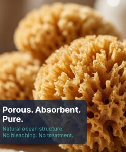 Hermit Crab- All Natural Sea Sponges - 5 Pack Unbleached, Provides Nutrients, Safer Drinking, Helps Maintain Habitat Tank Humidity and Aquarium Decor, Premium Care for Your Crabs