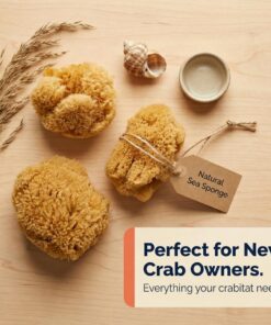 Hermit Crab- All Natural Sea Sponges - 5 Pack Unbleached, Provides Nutrients, Safer Drinking, Helps Maintain Habitat Tank Humidity and Aquarium Decor, Premium Care for Your Crabs