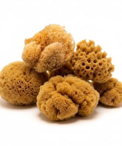 Hermit Crab- All Natural Sea Sponges - 5 Pack Unbleached, Provides Nutrients, Safer Drinking, Helps Maintain Habitat Tank Humidity and Aquarium Decor, Premium Care for Your Crabs