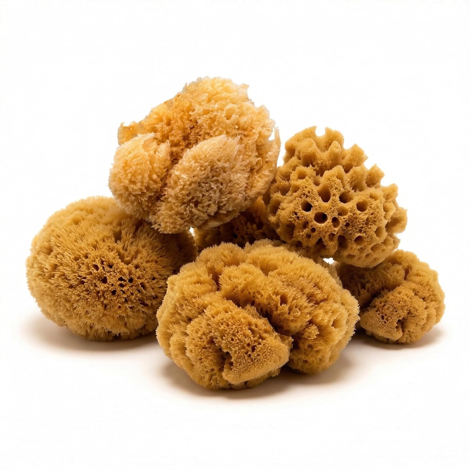 Hermit Crab- All Natural Sea Sponges - 5 Pack Unbleached, Provides Nutrients, Safer Drinking, Helps Maintain Habitat Tank Humidity and Aquarium Decor, Premium Care for Your Crabs
