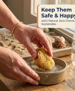 Hermit Crab- All Natural Sea Sponges - 5 Pack Unbleached, Provides Nutrients, Safer Drinking, Helps Maintain Habitat Tank Humidity and Aquarium Decor, Premium Care for Your Crabs