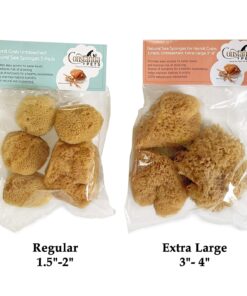 Hermit Crab- All Natural Sea Sponges - 5 Pack Unbleached, Provides Nutrients, Safer Drinking, Helps Maintain Habitat Tank Humidity and Aquarium Decor, Premium Care for Your Crabs