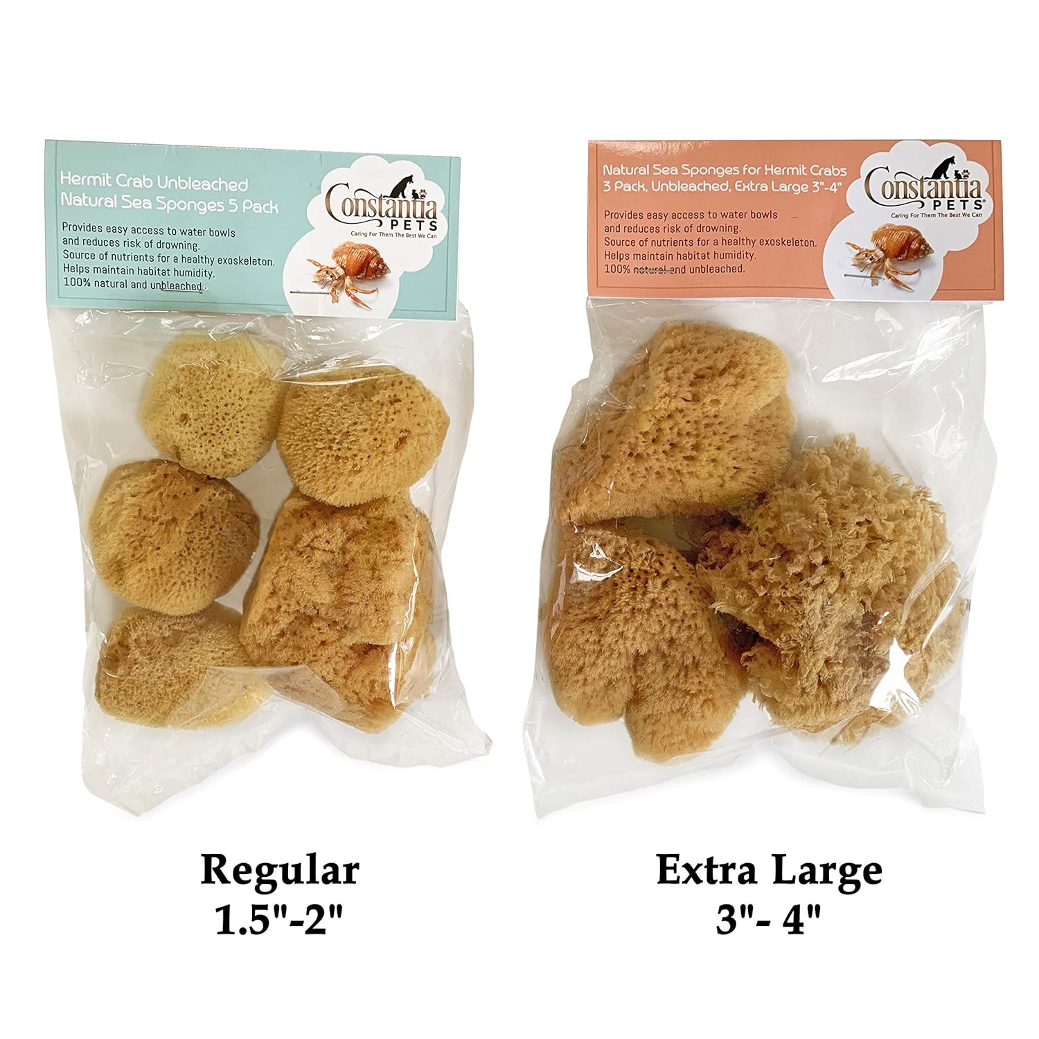 Hermit Crab- All Natural Sea Sponges - 5 Pack Unbleached, Provides Nutrients, Safer Drinking, Helps Maintain Habitat Tank Humidity and Aquarium Decor, Premium Care for Your Crabs