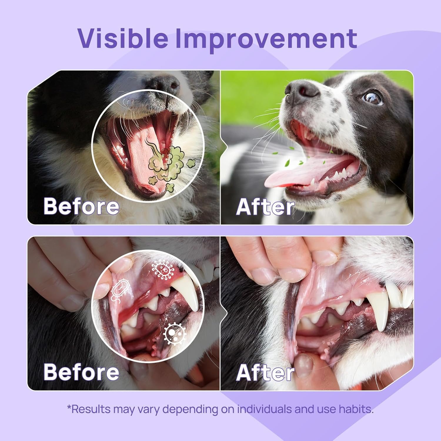 HICC PET Dog Dental Care Spray, Vet-Trusted Breath Freshener & Teeth Cleaning Spray, Eliminate Bad Breath, Support Healthy Gums, Help Reduce Plaque & Tartar, No Brushing, 5.1 Fl Oz