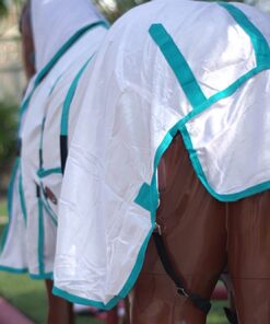 HILASON Horse Fly Sheet UV Protect Breathable Mesh Bug Mosquito Spring | Summer Horse Rug | Fly Rug
