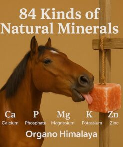 Himalayan Salt Lick On Rope 3.5-4 lb Each (Pack of 3) for Horses, Deer, Goats & Livestock | Natural, Mineral-Rich, Long-Lasting Salt Blocks