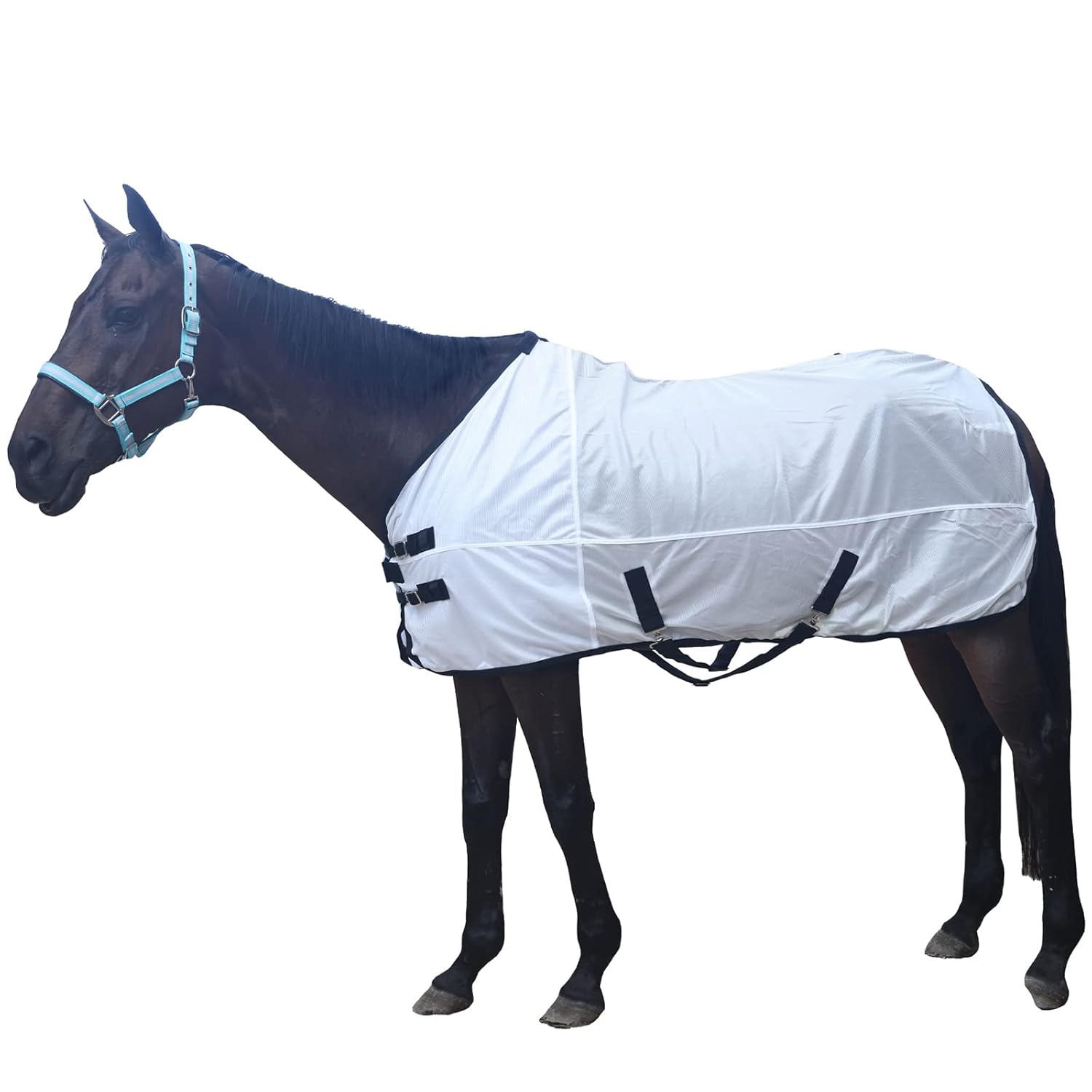 Horse Fly Sheet, Standard Neck Comfy Mesh Fly Sheet for Horses, Equine Summer Sheets UV-Protective Lightblue 78
