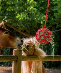 Horse Hay Feeder Ball, Red Hanging Treat Dispenser Toy for Stress Relief, Durable Feeding Equipment for Horses, Ponies, Goats, Sheep