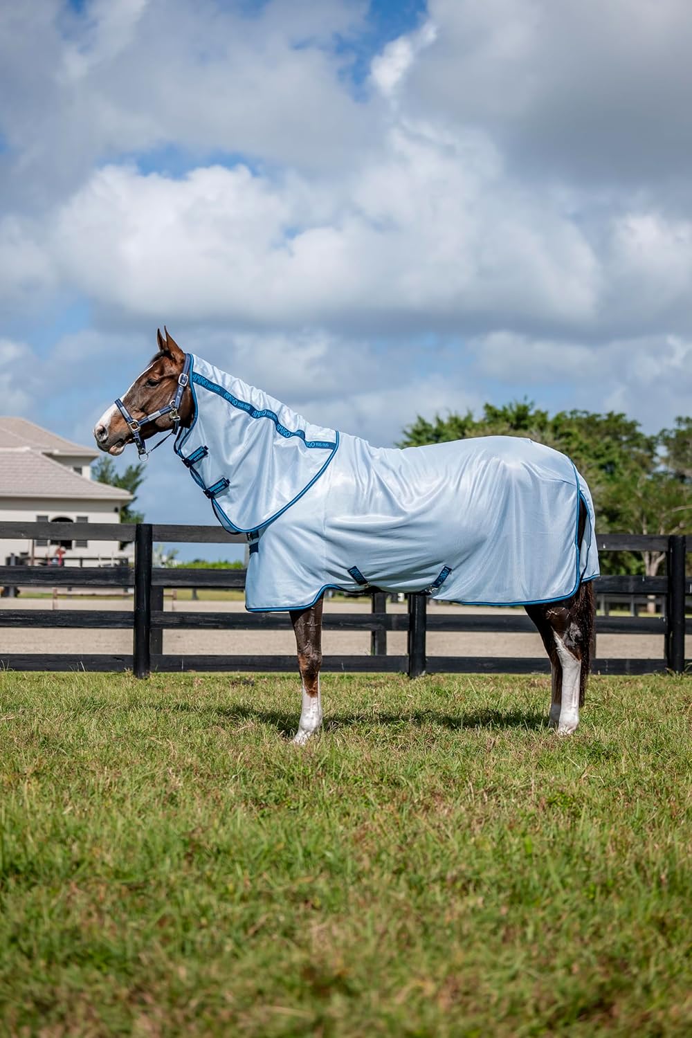 Horseware® Amigo® Bug Rug Plus Fly Sheet