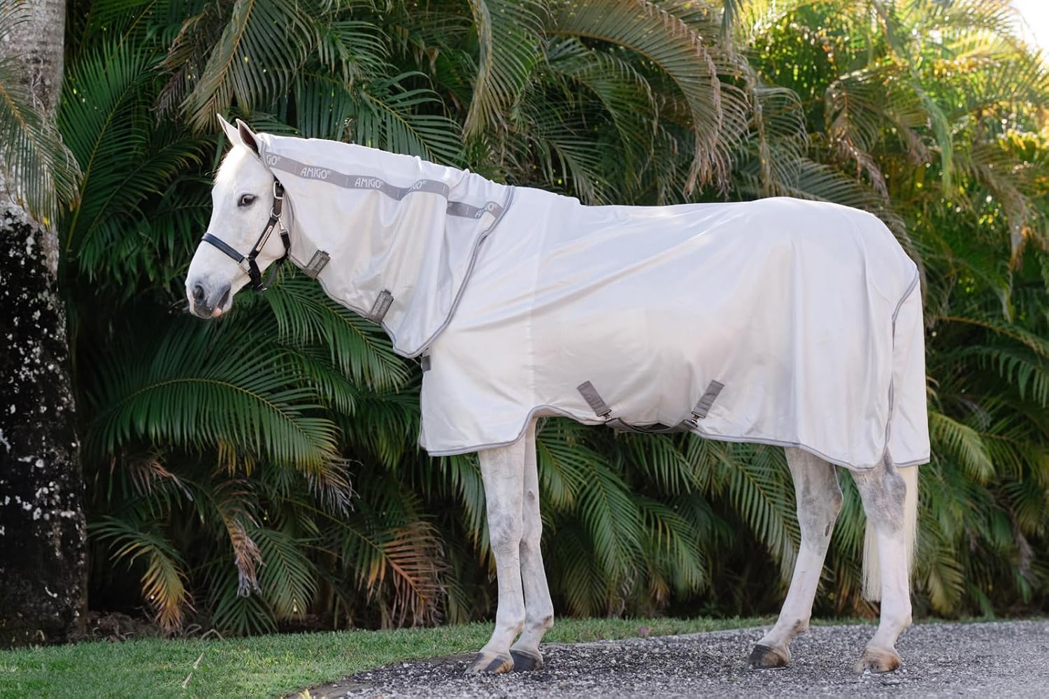 Horseware® Amigo® Integrated Fly Sheet