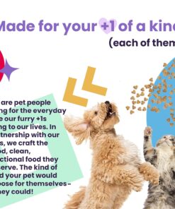 I AND LOVE AND YOU Feed Meow Indoor Wet Cat Food - Mackerel - Packed with Protein and Fiber, Grain Free, Shredded, 3oz Pack of 12