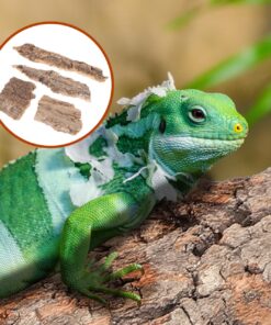 IMIKEYA 4Pcs Reptile Tree Bark Reptile Hides: Natural Wood Cork Bark Gecko Hide Small Climbing Barks Terrarium Decor Lizard Geckos Tortoise Birdcage Tank Accessories Water Tube...
