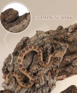 IMIKEYA 4Pcs Reptile Tree Bark Reptile Hides: Natural Wood Cork Bark Gecko Hide Small Climbing Barks Terrarium Decor Lizard Geckos Tortoise Birdcage Tank Accessories Water Tube...