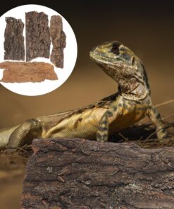 IMIKEYA 4Pcs Reptile Tree Bark Reptile Hides: Natural Wood Cork Bark Gecko Hide Small Climbing Barks Terrarium Decor Lizard Geckos Tortoise Birdcage Tank Accessories Water Tube...