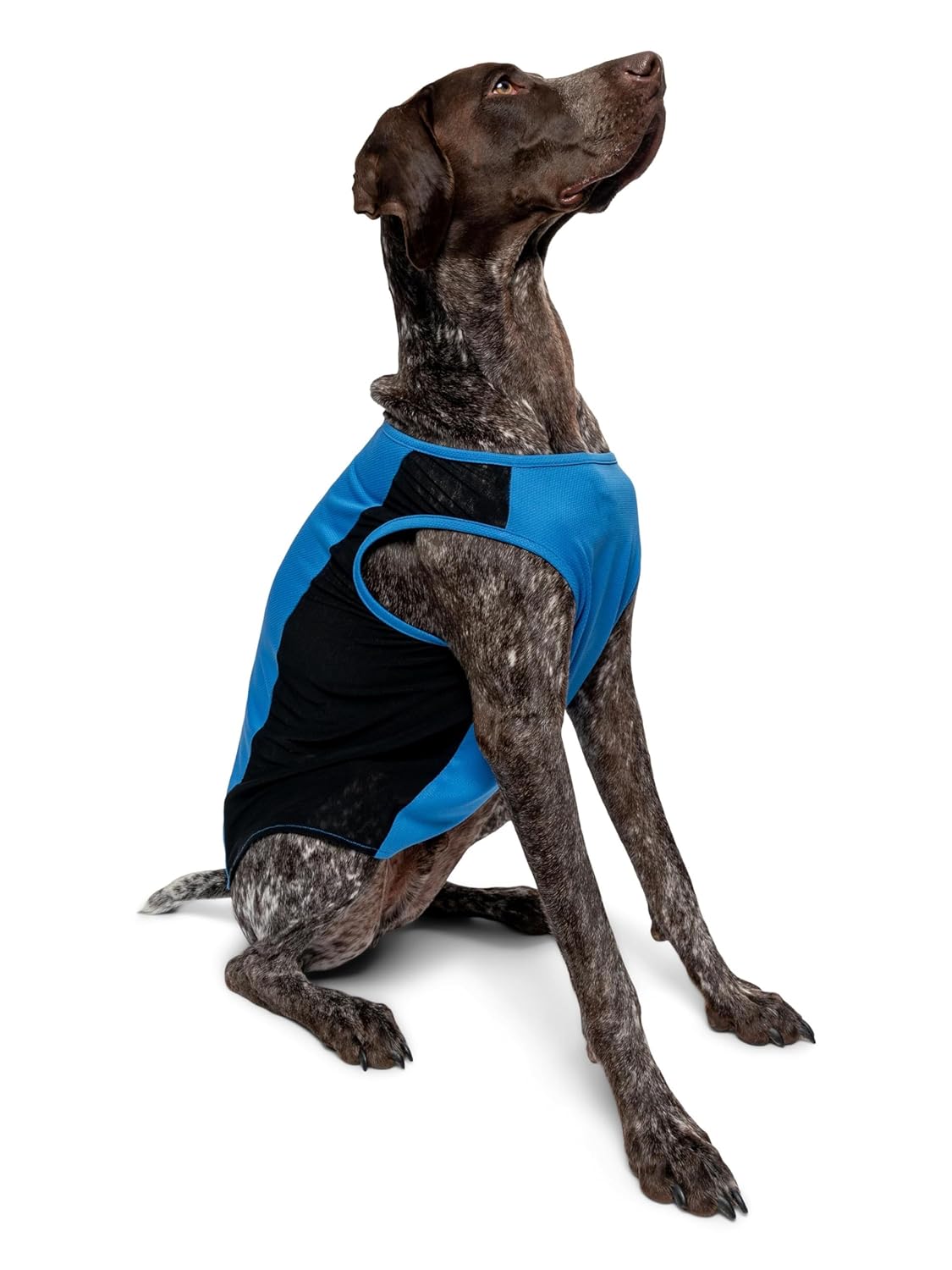 Insect Shield Pet Breathable Sleeveless Mesh Airflow Tank Top with Built in Bug and Tick Protection, Poppy, Small