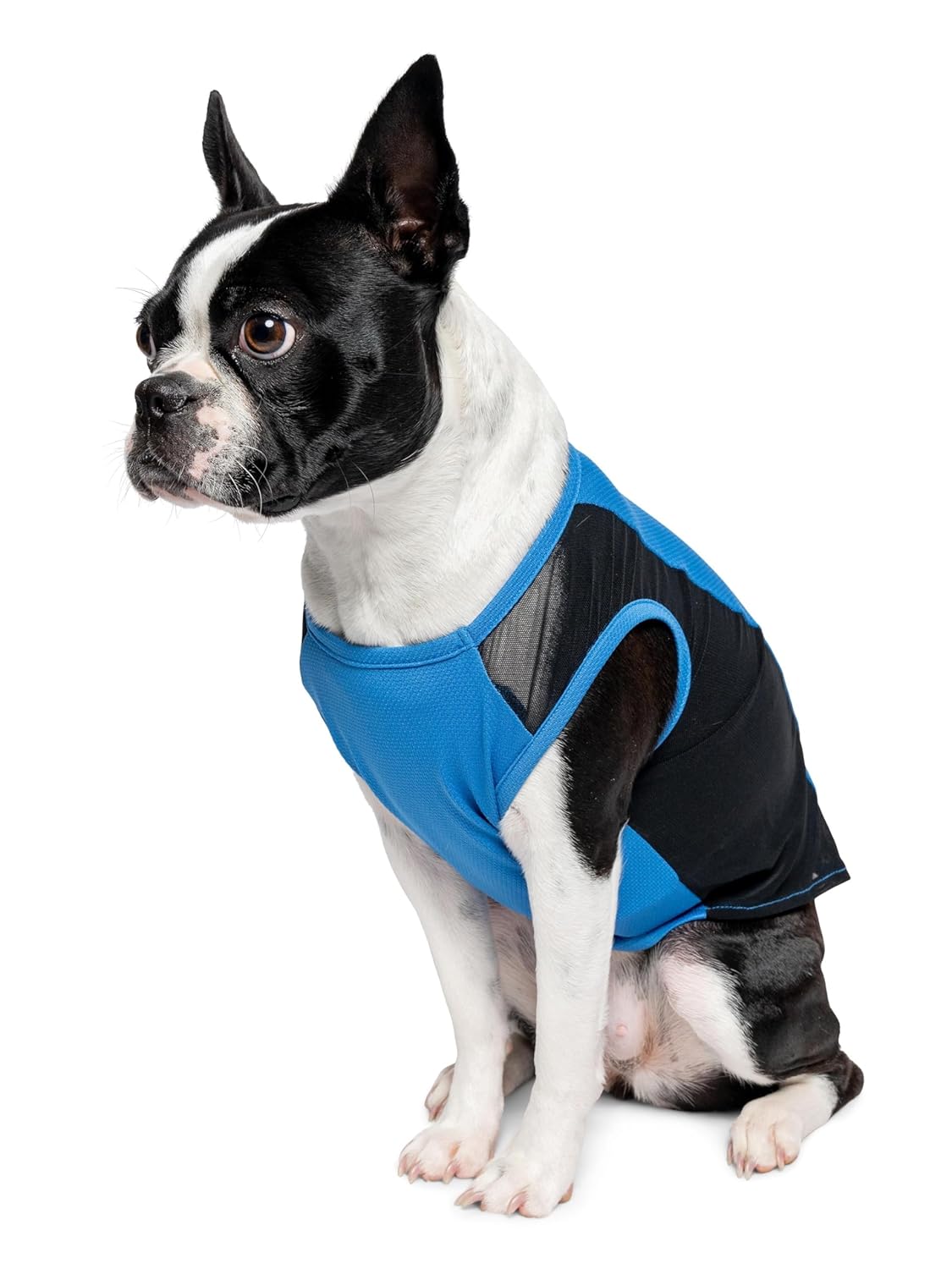 Insect Shield Pet Breathable Sleeveless Mesh Airflow Tank Top with Built in Bug and Tick Protection, Poppy, Small
