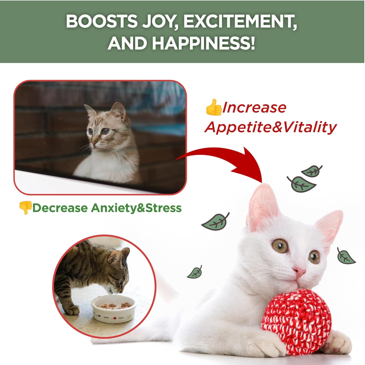 JAYU PET Active Catnip Spray - High Potency Transparent Liquid Spray Made of Fresh Organic Catnip for Indoor Cats and Kittens, Relieves Stress, Calming, Revives Toys (1fl oz)...