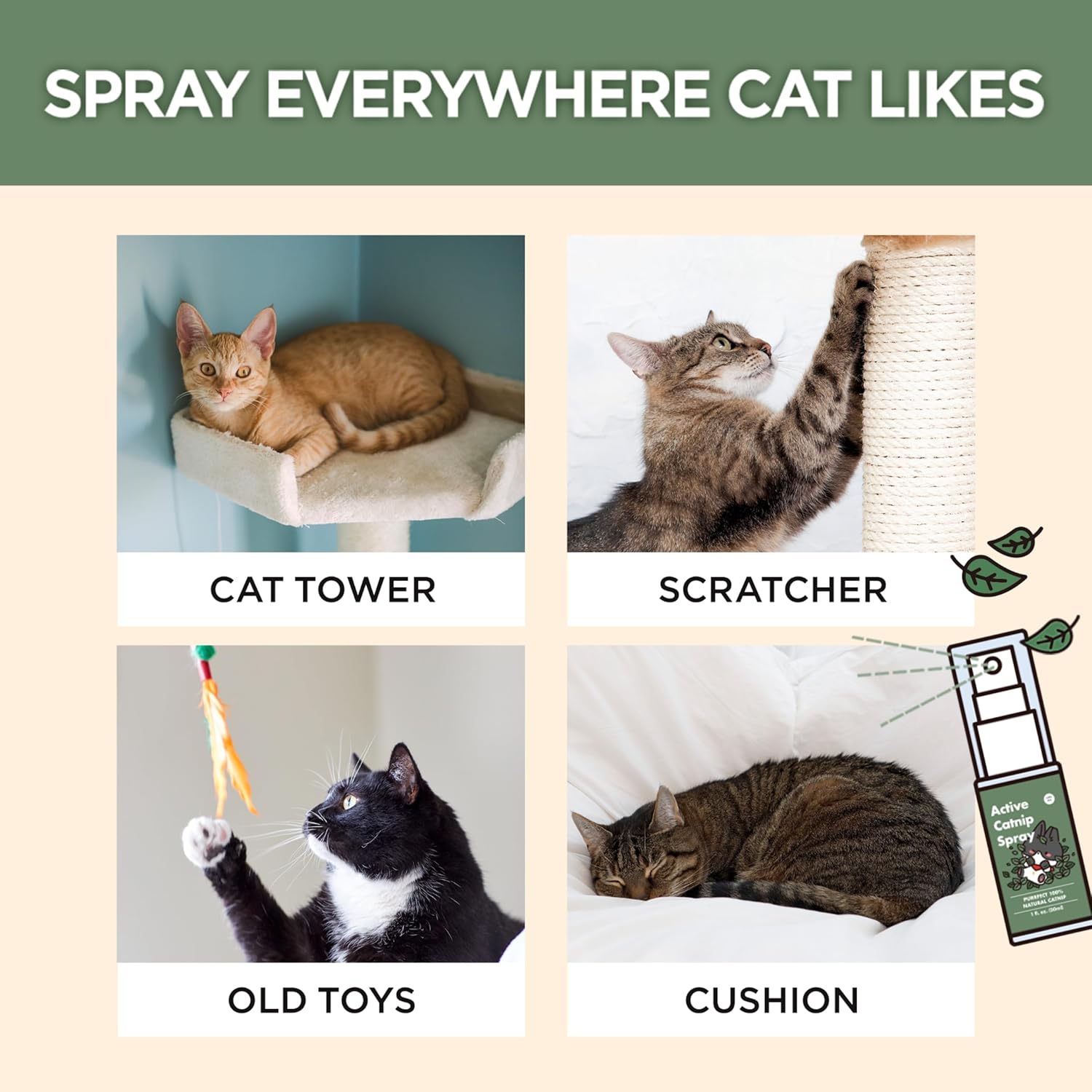 JAYU PET Active Catnip Spray - High Potency Transparent Liquid Spray Made of Fresh Organic Catnip for Indoor Cats and Kittens, Relieves Stress, Calming, Revives Toys (1fl oz)...