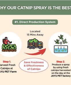 JAYU PET Active Catnip Spray - High Potency Transparent Liquid Spray Made of Fresh Organic Catnip for Indoor Cats and Kittens, Relieves Stress, Calming, Revives Toys (1fl oz)...