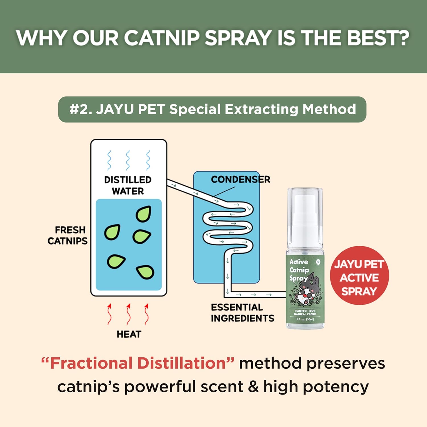 JAYU PET Active Catnip Spray - High Potency Transparent Liquid Spray Made of Fresh Organic Catnip for Indoor Cats and Kittens, Relieves Stress, Calming, Revives Toys (1fl oz)...