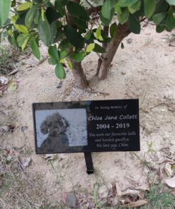 JFHEDY Grave Marker Stand for 12