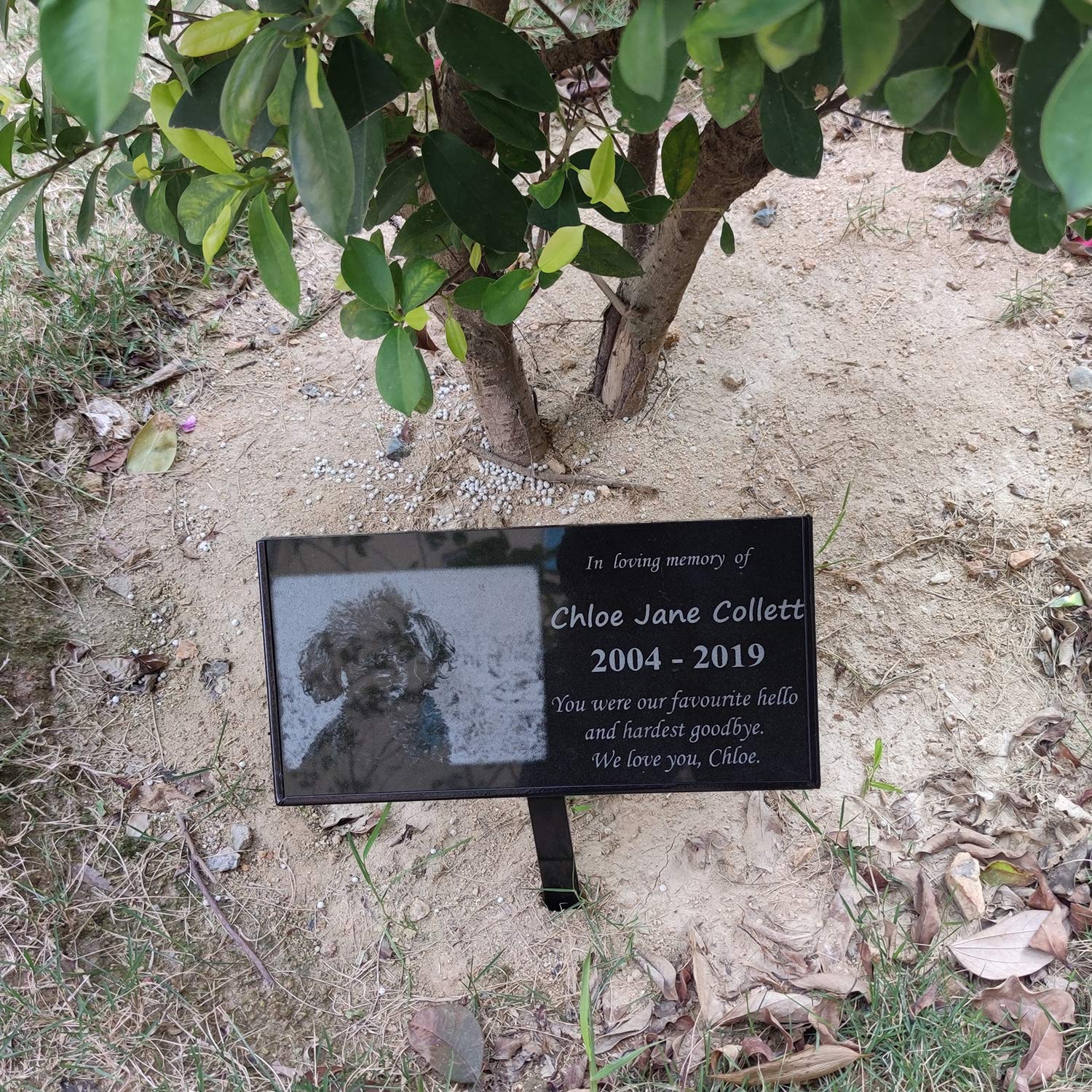 JFHEDY Grave Marker Stand for 12"x 6" Stones, Memorial Stones for Loved One (12“ x 6“)