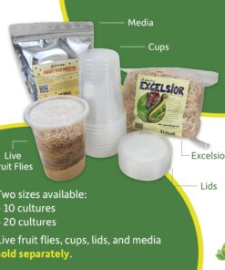 Josh's Frogs Excelsior (Makes 20 Fruit Fly Cultures) 9.2oz