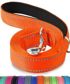 Joytale Dog Leash, 6 FT Double-Sided Reflective, Padded Handle Nylon Heavy Duty Leashes for Medium & Large Dogs Walking, Black