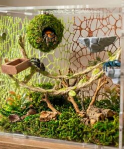 Jumping Spider Enclosure Accessories Kit - Magnetic Moss Ball Hideout, 2 Rock Ledges, Feeding Bowl, Climbing Mesh Nets & Rope Ladder - Natural Forest Habitat Decor for Regal...