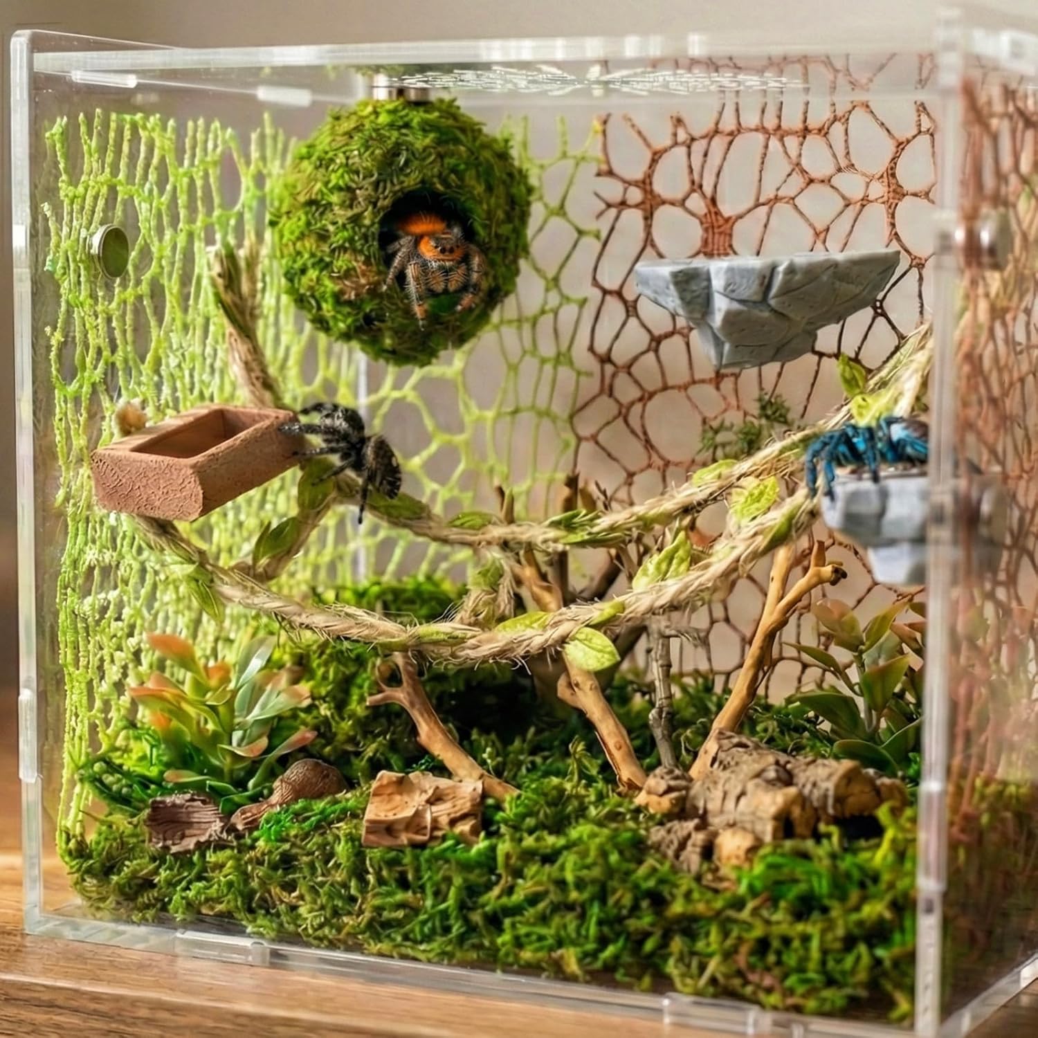 Jumping Spider Enclosure Accessories Kit - Magnetic Moss Ball Hideout, 2 Rock Ledges, Feeding Bowl, Climbing Mesh Nets & Rope Ladder - Natural Forest Habitat Decor for Regal...