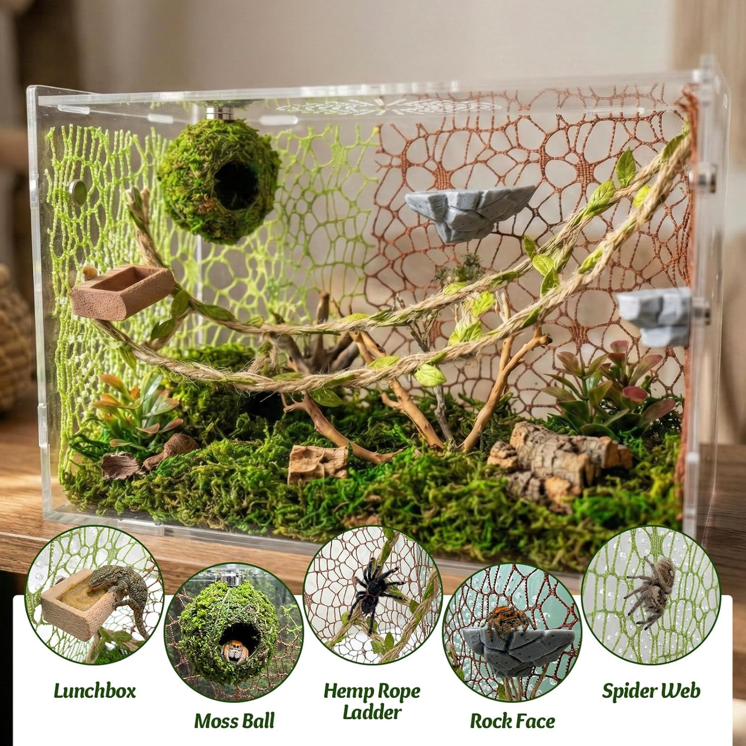 Jumping Spider Enclosure Accessories Kit - Magnetic Moss Ball Hideout, 2 Rock Ledges, Feeding Bowl, Climbing Mesh Nets & Rope Ladder - Natural Forest Habitat Decor for Regal...