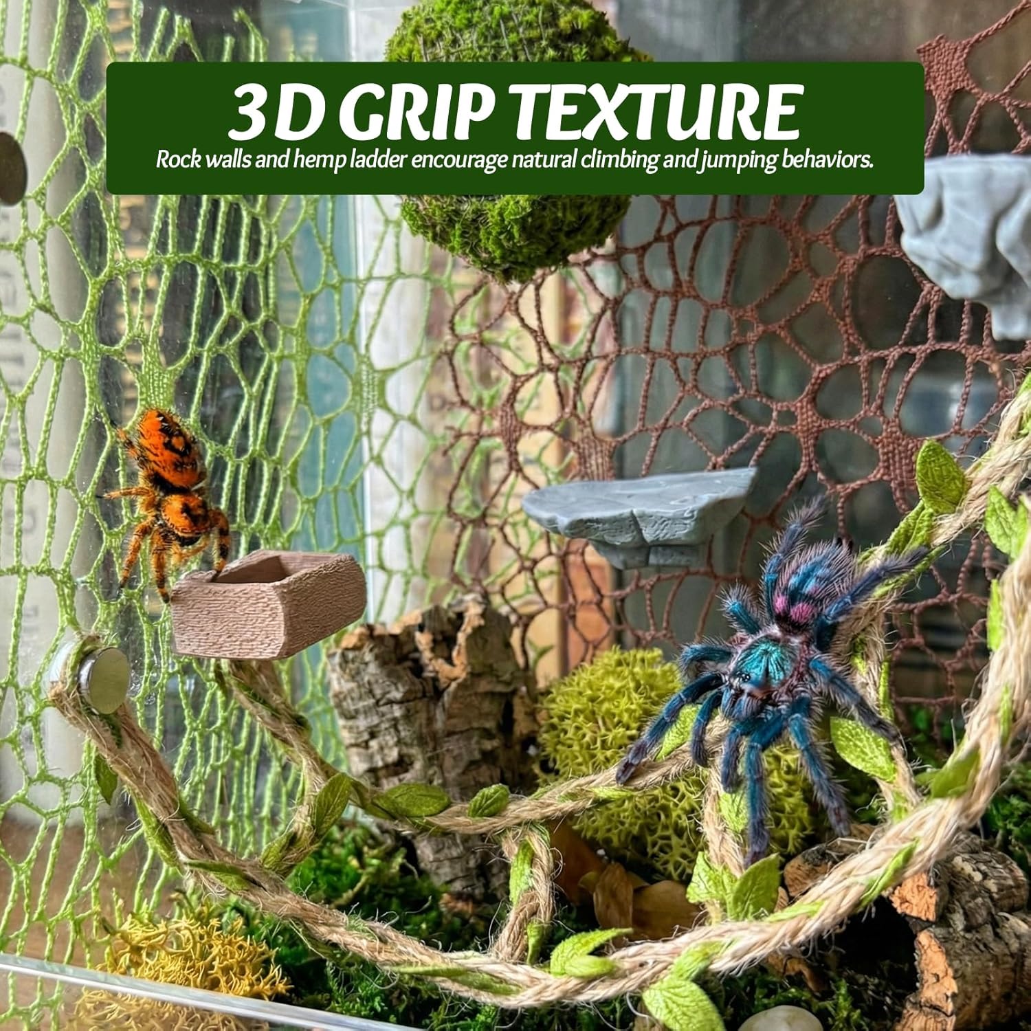 Jumping Spider Enclosure Accessories Kit - Magnetic Moss Ball Hideout, 2 Rock Ledges, Feeding Bowl, Climbing Mesh Nets & Rope Ladder - Natural Forest Habitat Decor for Regal...