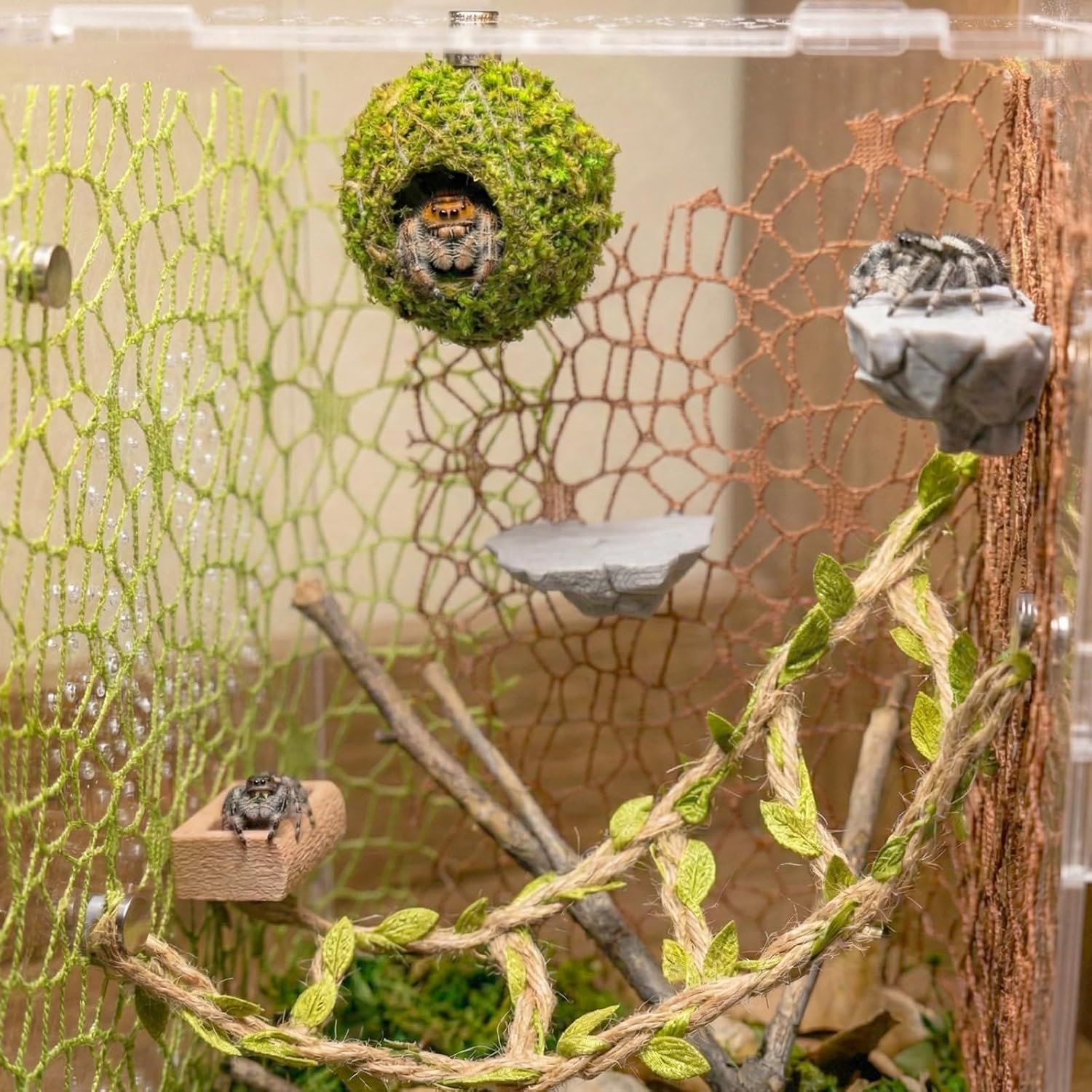 Jumping Spider Enclosure Accessories Kit - Magnetic Moss Ball Hideout, 2 Rock Ledges, Feeding Bowl, Climbing Mesh Nets & Rope Ladder - Natural Forest Habitat Decor for Regal...