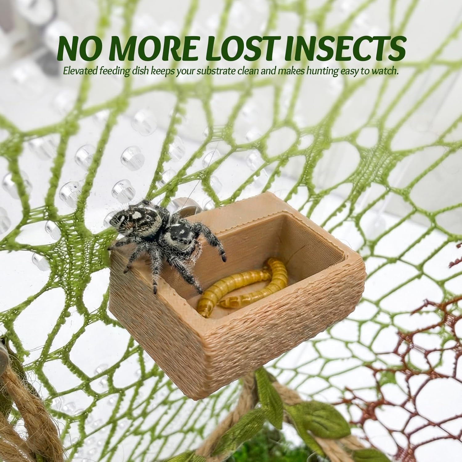 Jumping Spider Enclosure Accessories Kit - Magnetic Moss Ball Hideout, 2 Rock Ledges, Feeding Bowl, Climbing Mesh Nets & Rope Ladder - Natural Forest Habitat Decor for Regal...